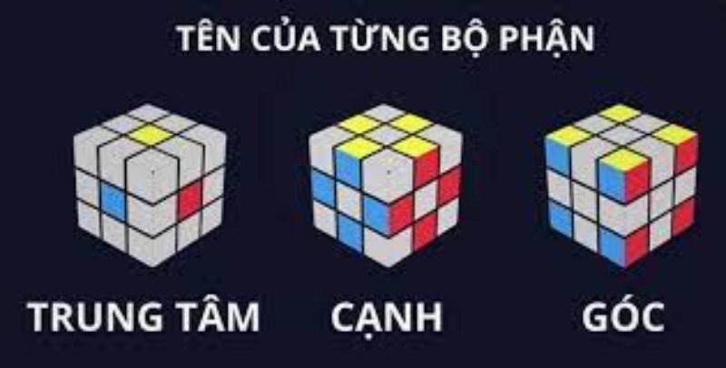 Tên của từng bộ phận