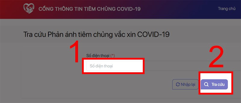 Nhập số điện thoại và chọn Tra cứu