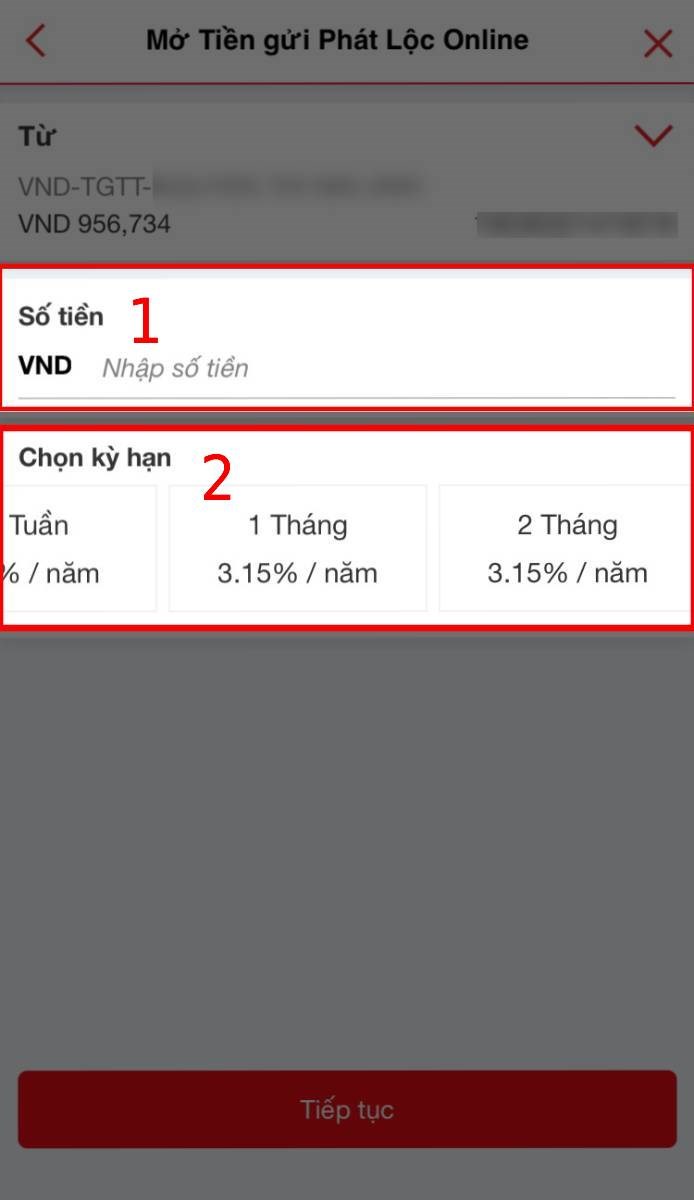 Nhập thông tin cá nhân, số tiền và chọn kỳ hạn