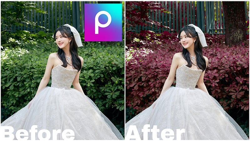 Cách chỉnh màu lá cây đỏ bằng PicsArt nhanh, đơn giản, chi tiết