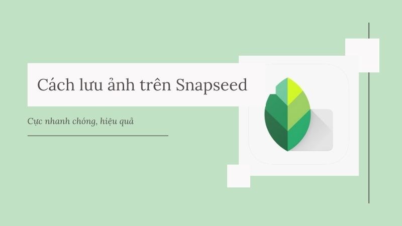 C&aacute;ch lưu ảnh tr&ecirc;n Snapseed cực nhanh ch&oacute;ng, đơn giản
