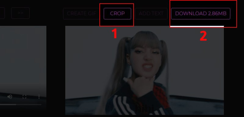 Nhấn vào nút Crop và chọn Download Nhấn vào nút Crop và chọn Download