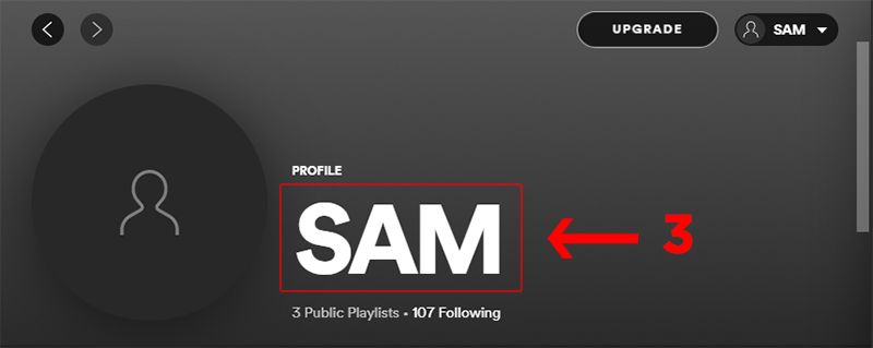 buoc-3-doi-ten-nguoi-dung-spotify-tren-may-tinh buoc-3-doi-ten-nguoi-dung-spotify-tren-may-tinh
