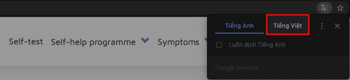 Chuyển đổi ngôn ngữ trang web sang Tiếng Việt bằng cách chọn Tiếng Việt