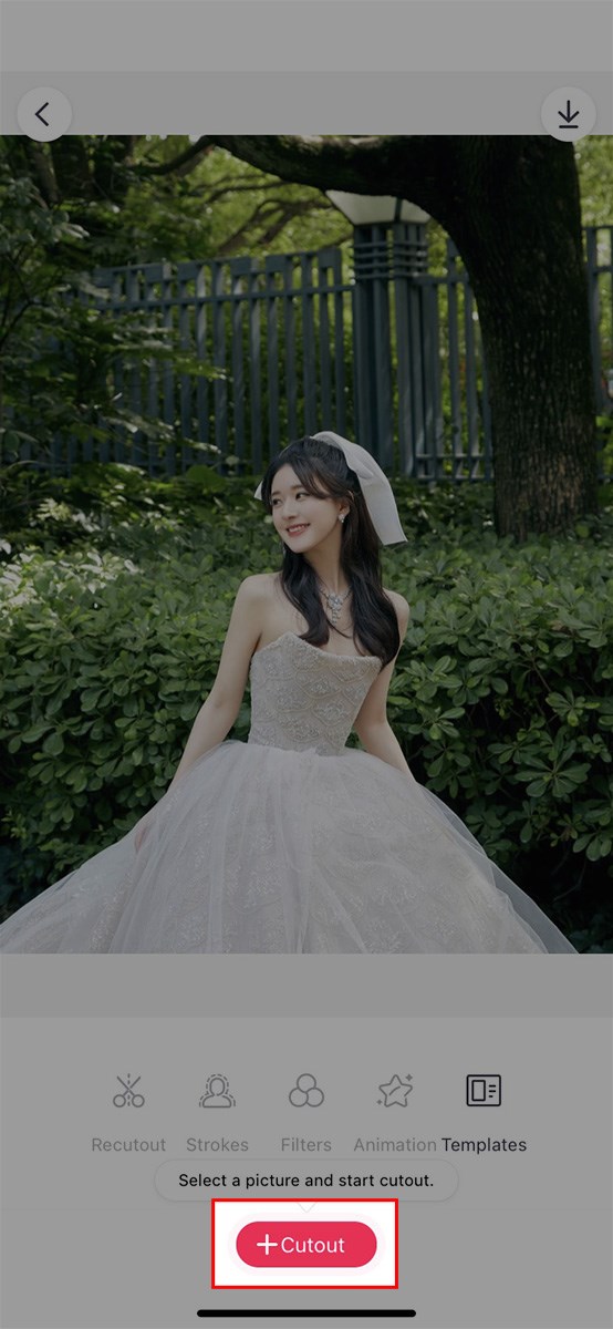 Chọn Cutout > Chọn ảnh vừa chọn 1 lần nữa