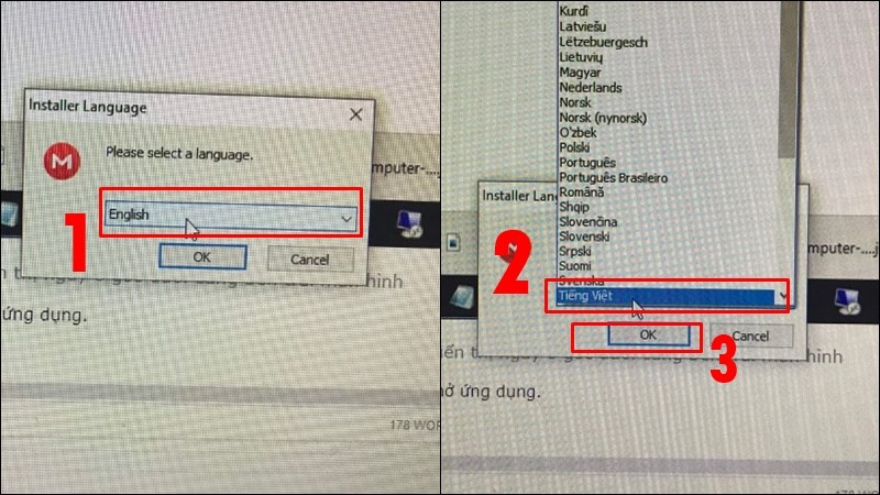 Chọn Tiếng Việt sau đ&oacute; nhấn OK