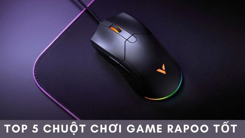 Ch&uacute;ng ta h&atilde;y c&ugrave;ng t&igrave;m hiểu 5 chuột chơi game Rapoo tốt nhất cho mọi Gamer nh&eacute;