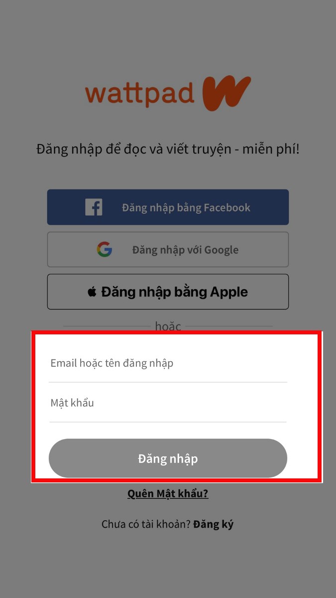 Nhập email/tên đăng nhập, mật khẩu rồi nhấn nút Đăng nhập