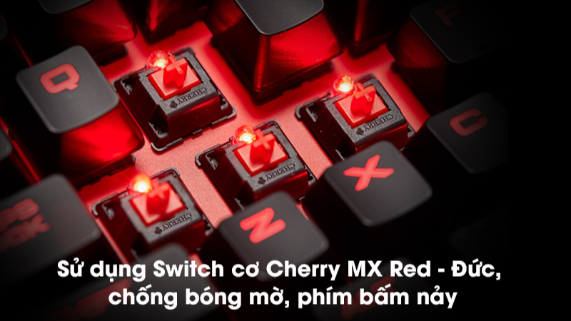 Switch cơ từ Đức