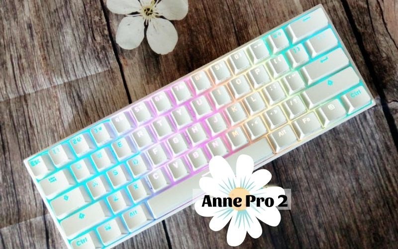 Bàn phím cơ Anne Pro 2 Bàn phím cơ Anne Pro 2