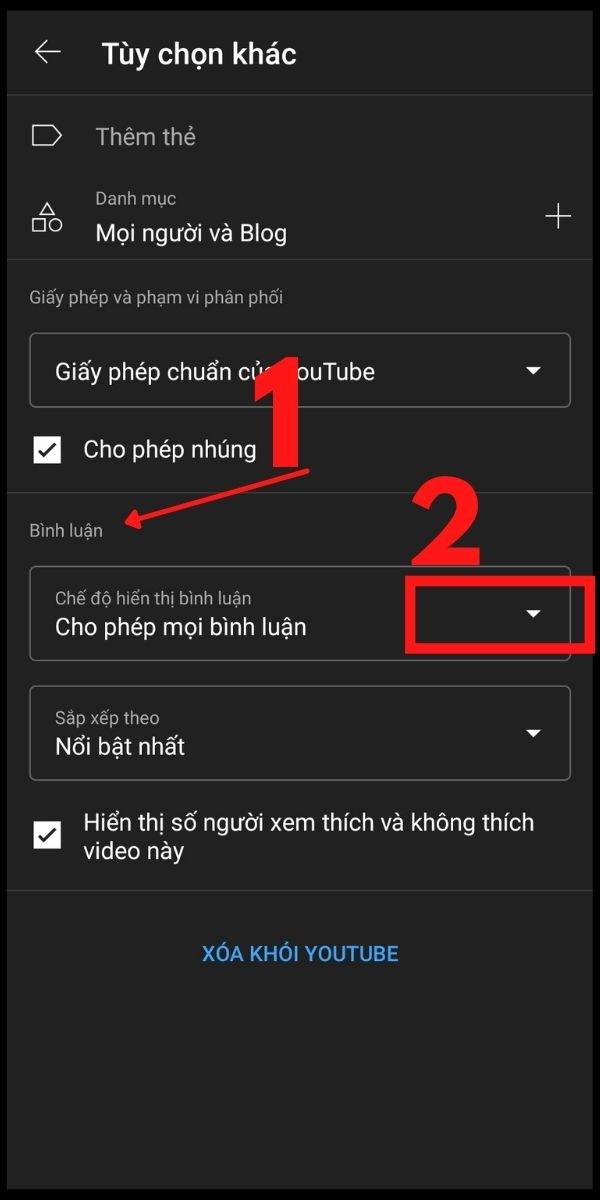 Vào mục Bình luận, chọn Dấu mũi tên tại mục Chế độ hiển thị bình luận