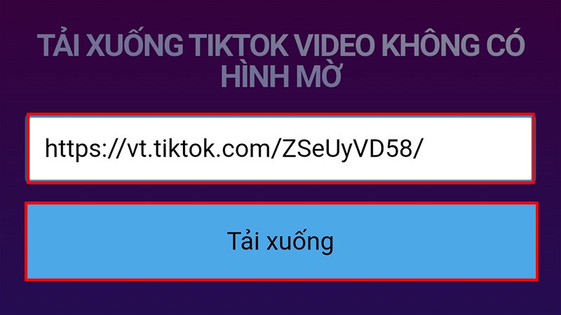 Dán đường link video TikTok vừa sao chép vào khung > Chọn Tải xuống