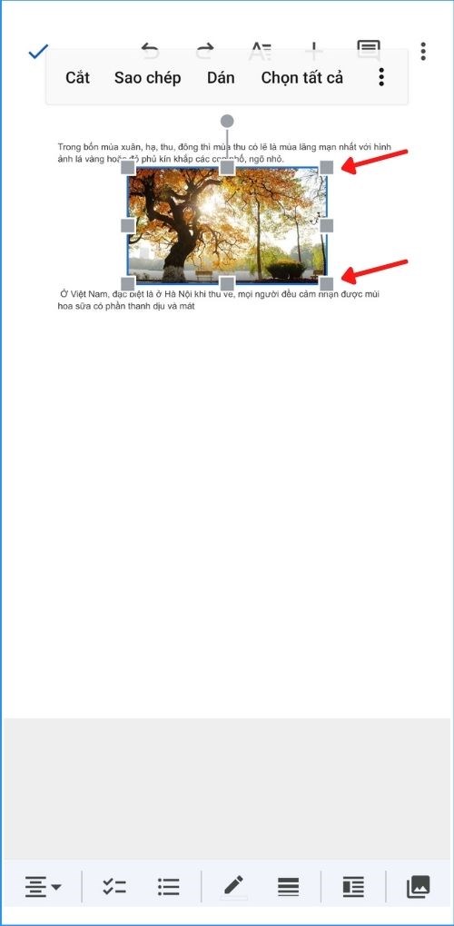 Để chỉnh sửa k&iacute;ch thước ảnh, bạn nhấn giữ v&agrave; k&eacute;o c&aacute;c điểm n&uacute;t hiện l&ecirc;n khi chạm v&agrave;o ảnh.