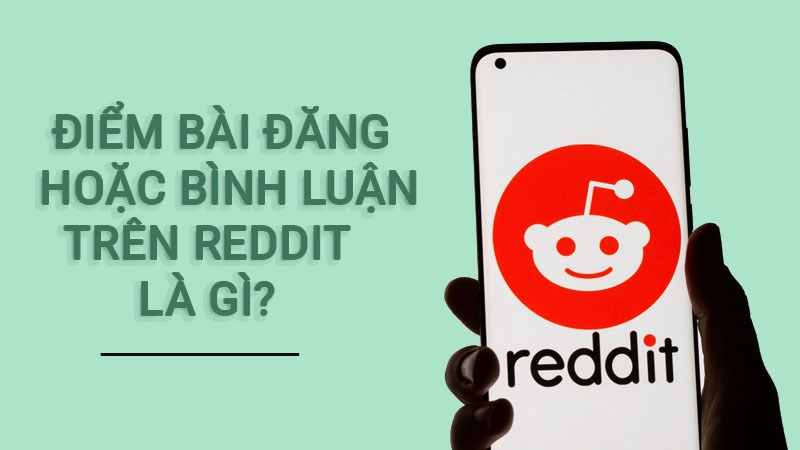 Điểm của một bài hoặc bình luận trên Reddit được gọi là gì?