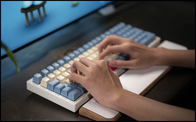 Kiểm tra chất lượng switch