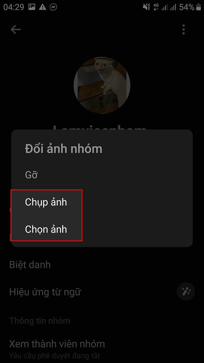 Ảnh nhóm trên Messenger giúp bạn chia sẻ những khoảnh khắc đáng nhớ cùng bạn bè. Hãy thay đổi ảnh nhóm để thể hiện tính cách độc đáo của nhóm và tạo sự khác biệt trong đám đông.