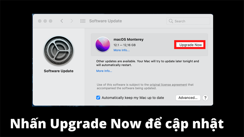 Chọn Upgrade Now