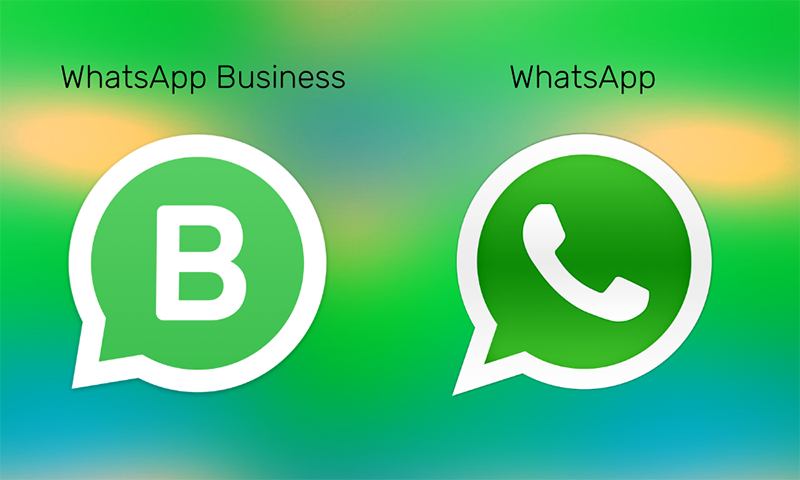 Có thể sử dụng đồng thời với cả Whatsapp Messenger