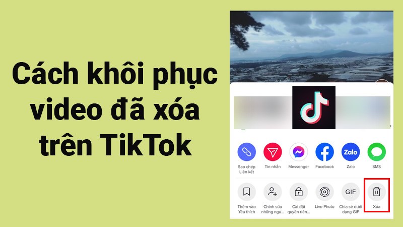 Cách Tìm Nhạc Trên TikTok Hướng Dẫn Chi Tiết