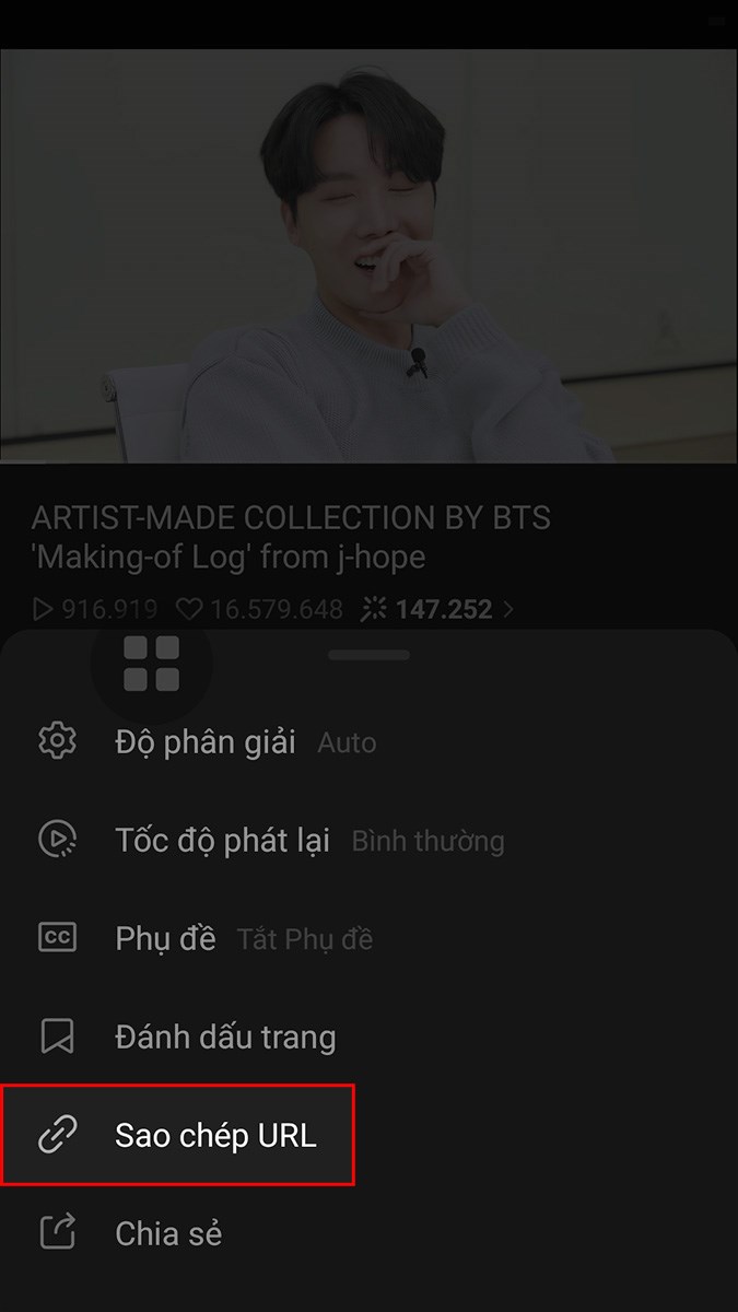 Chọn Sao ch&eacute;p URL