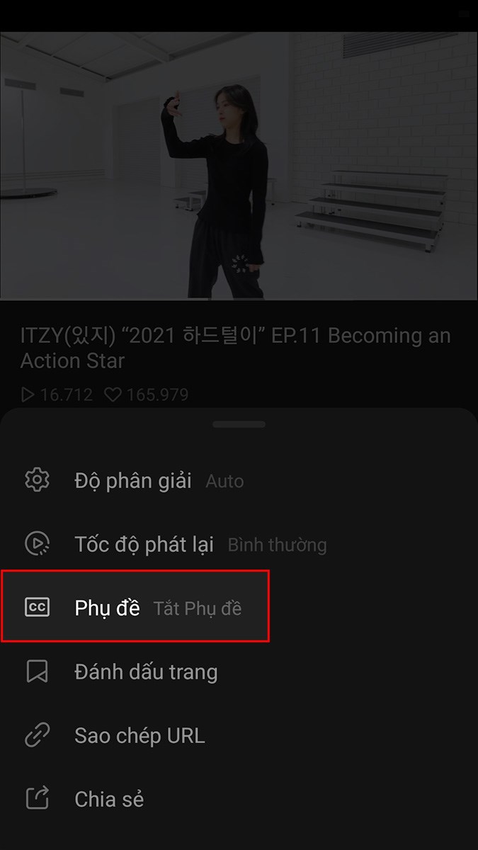 Chọn Phụ đề Chọn Phụ đề