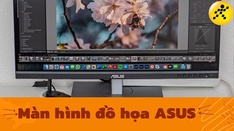 Top m&agrave;n h&igrave;nh đồ họa Asus đ&aacute;ng mua 2022