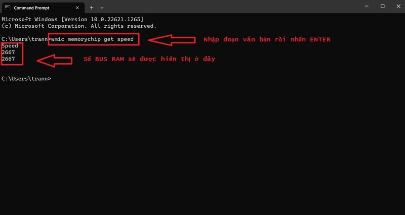 Sau khi nhập đoạn văn bản, th&ocirc;ng số BUS RAM sẽ hiện ra.