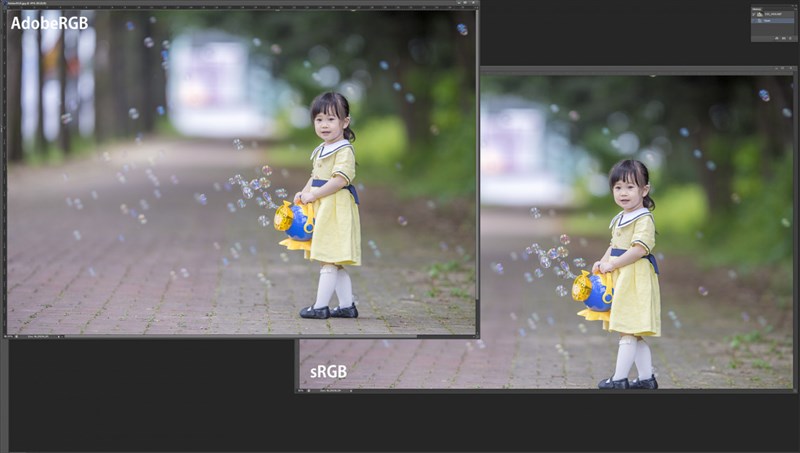 Sự kh&aacute;c biệt giữa dải m&agrave;u sRGB v&agrave; Adobe RGB