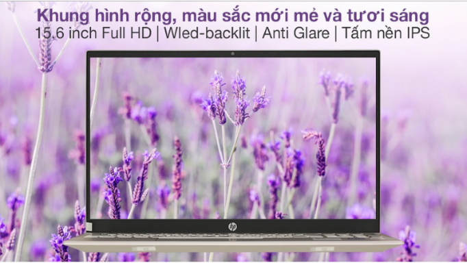 M&agrave;n h&igrave;nh sắc n&eacute;t