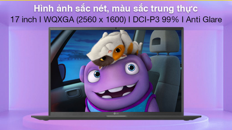 M&agrave;n h&igrave;nh lớn 17 inch