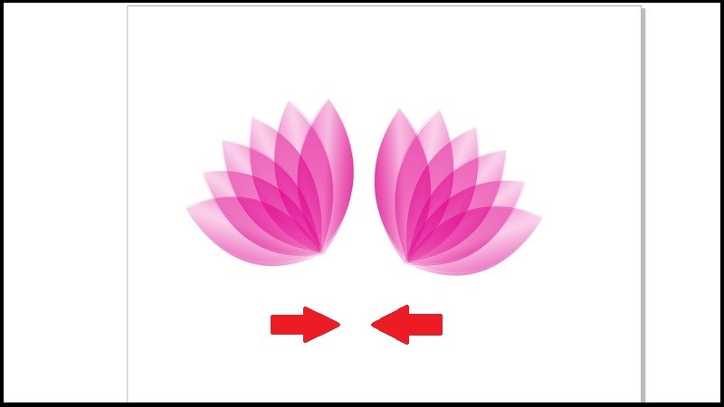 Kéo 2 nửa bông hoa lại với nhau Kéo 2 nửa bông hoa lại với nhau