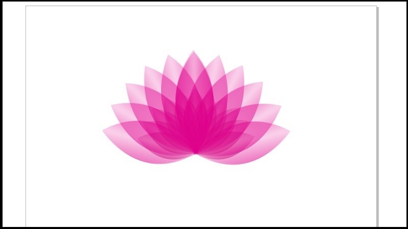 Hoa hoàn chỉnh Hoa hoàn chỉnh