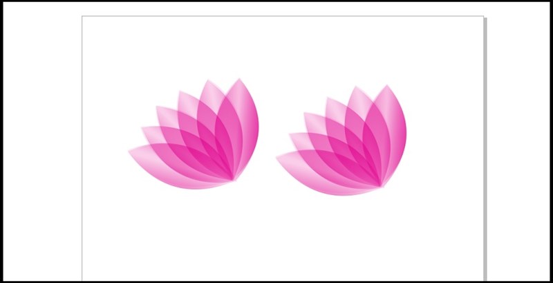 Nhân đôi Nhân đôi