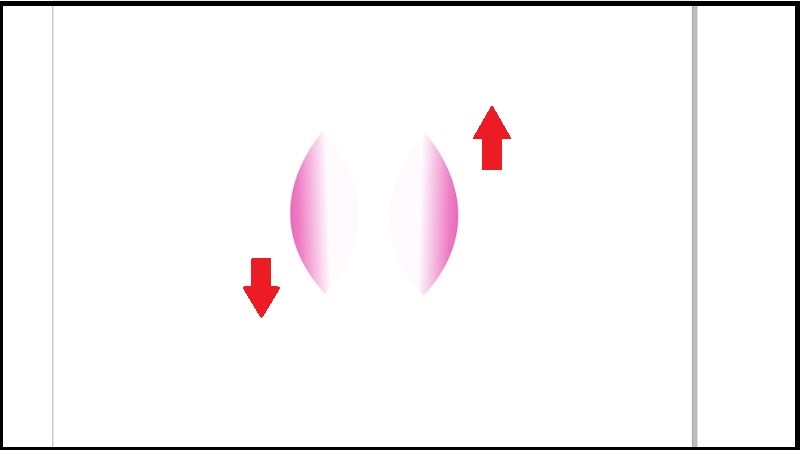 Hướng di chuyển cánh hoa Hướng di chuyển cánh hoa