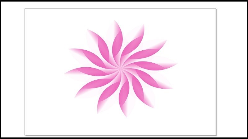 Những cánh hoa khi đã được nhóm Những cánh hoa khi đã được nhóm