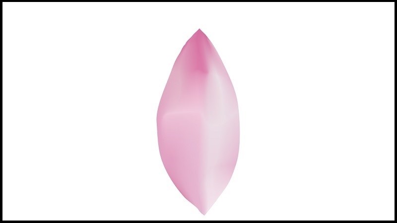 Cánh hoa sau khi tô hoàn chỉnh Cánh hoa sau khi tô hoàn chỉnh