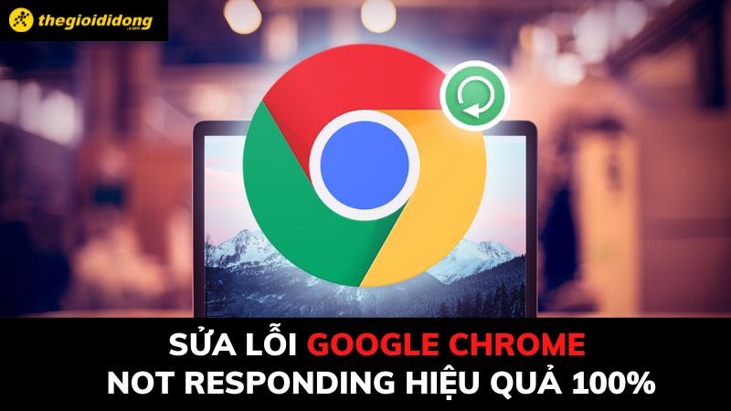 7 cách sửa lỗi Google Chrome not responding hiệu quả 100%