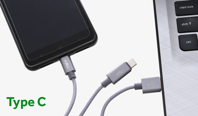 C&aacute;p 2 đầu Type C Micro 1m eValu Spanker B