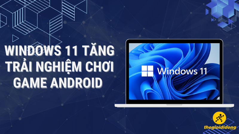 windows 11