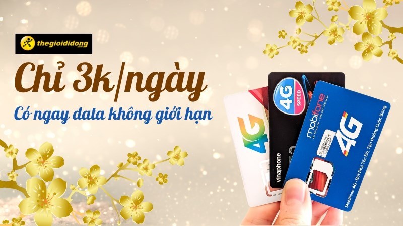 Mua sim data, thả ga vui Tết kh&ocirc;ng giới hạn chỉ với 3k/ng&agrave;y