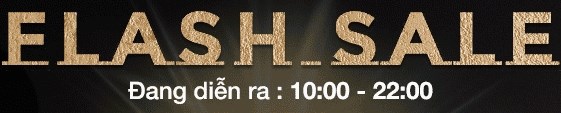 flashsale