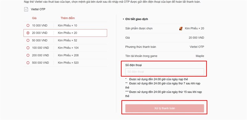Nhập số điện thoại và tiến hành xử lý thanh toán.