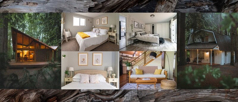 Xây dựng danh sách hình ảnh là bước quan trọng trên Airbnb.