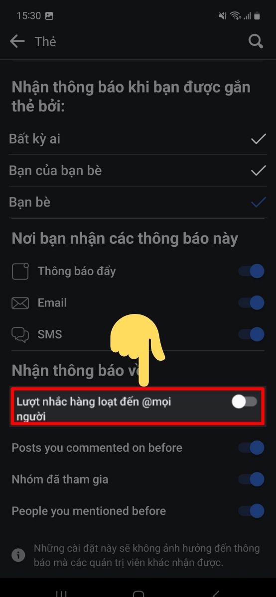 Thanh gạt x&aacute;m như h&igrave;nh l&agrave; bạn đ&atilde; tắt chức năng tag @everyone 