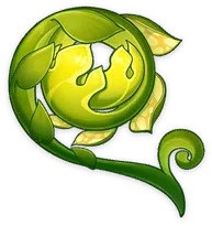 Dương Xỉ Đất Trời