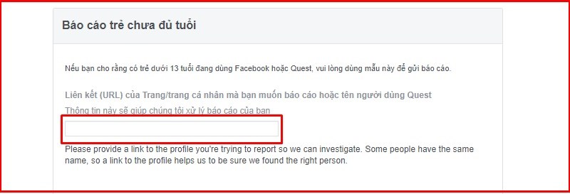 Dán đường link cá nhân tài khoản muốn báo cáo Dán đường link cá nhân tài khoản muốn báo cáo