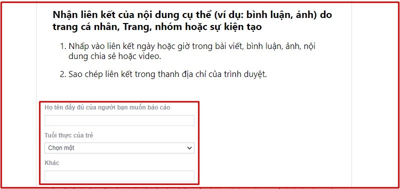 Điền họ tên + độ tuổi vi phạm hoặc mục khác nếu có Điền họ tên + độ tuổi vi phạm hoặc mục khác nếu có