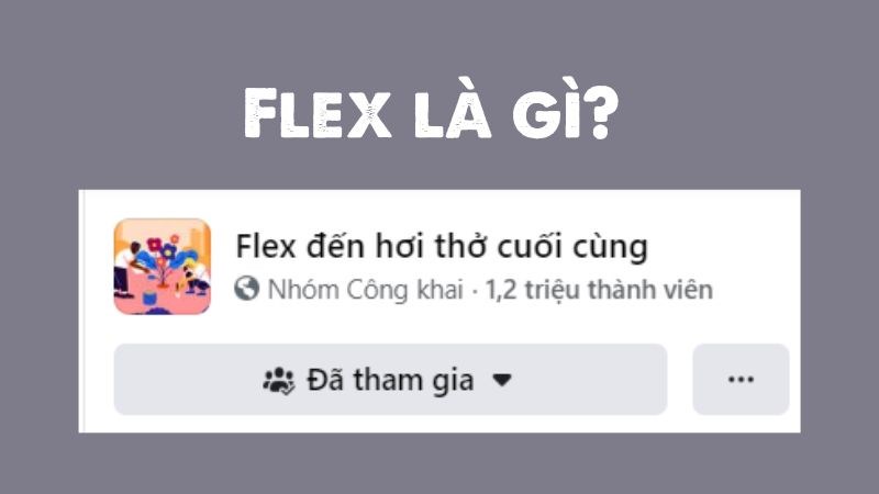 Flex là gì? Ý nghĩa của phong trào Flex trên mạng xã hội