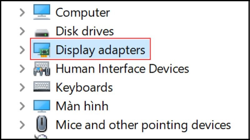 Chọn Display Adapters để xác định card màn hình