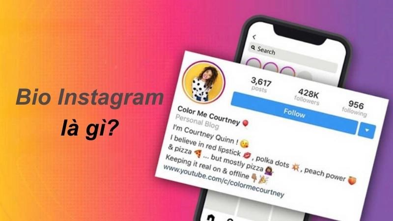 Bio trên Instagram là gì?